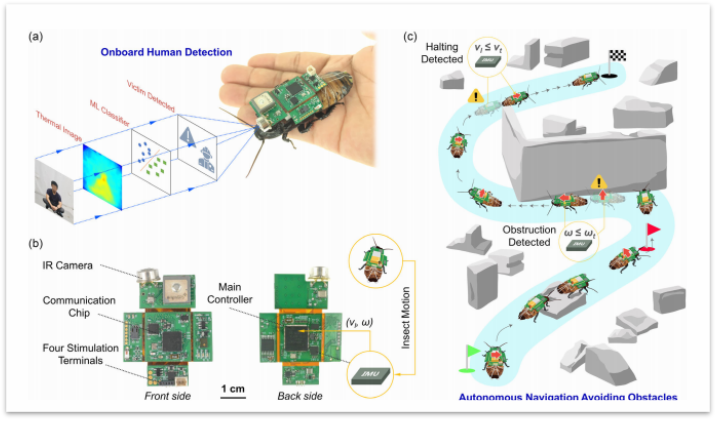 IMU Armed Intelligent Insects